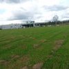 Blacktown Native Institution site near Richmond Road and Rooty Hill Road.